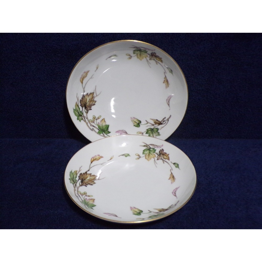 Wentworth China Autumn Pattern Set of 2 Cereal Bowls  #7516 Vintage